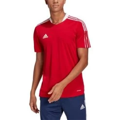 Adidas Tiro 21 Trainingsoberteil Kurzarm Rot -Pro Sport Verkauf adidas tiro 21 trainingsoberteil kurzarm rot4