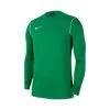 Nike Dri-Fit Park 20 Sweater Grün