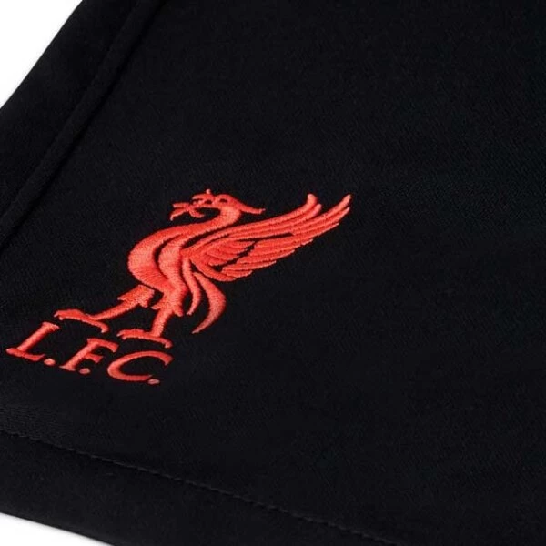 Nike FC Liverpool Stadium 3rd Shorts 2020/21 Kinder Schwarz 9 Nike FC Liverpool Stadium 3rd Shorts 2020/21 Kinder Schwarz – Bild 7