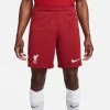 Nike FC Liverpool Stadium Home Shorts 2022/2023 Rot 2 Nike FC Liverpool Stadium Home Shorts 2022/2023 Rot -Pro Sport Verkauf nike fc liverpool stadium home shorts 2022 2023 rot
