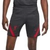 Nike FC Liverpool Strike Shorts Grau/rot -Pro Sport Verkauf nike fc liverpool strike shorts grau rot