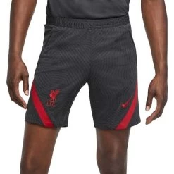 Nike FC Liverpool Strike Shorts Grau/rot