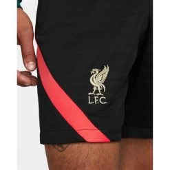 Nike FC Liverpool Strike Shorts Schwarz -Pro Sport Verkauf nike fc liverpool strike shorts schwarz5