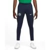 Nike Nigeria Strike Trainingshose Blau